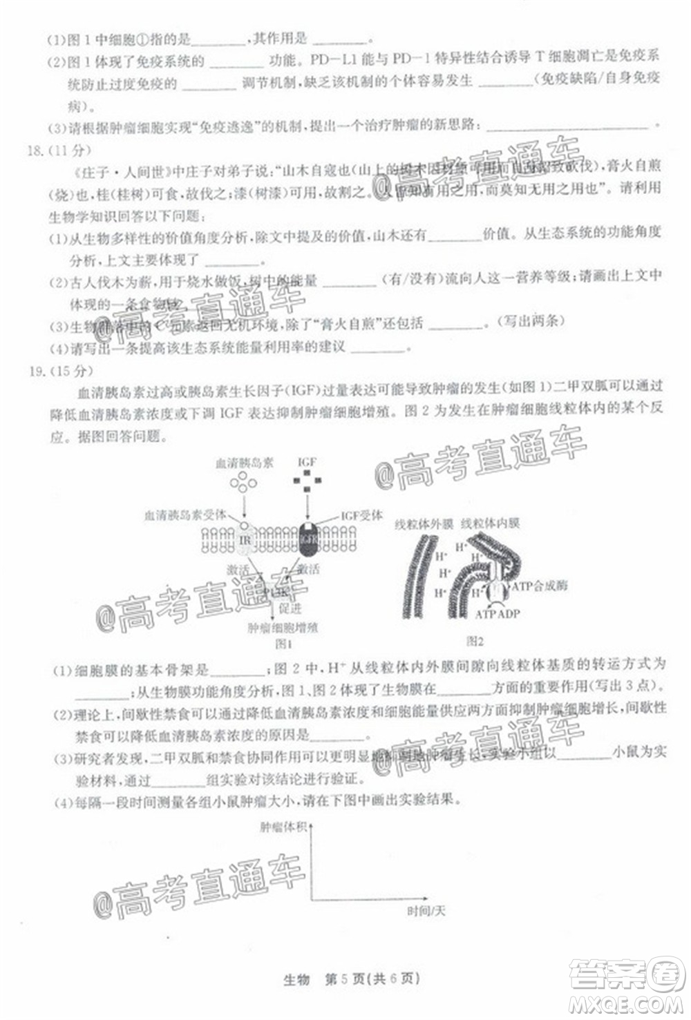 廣東省2022屆高三8月階段性質量檢測生物試題及答案