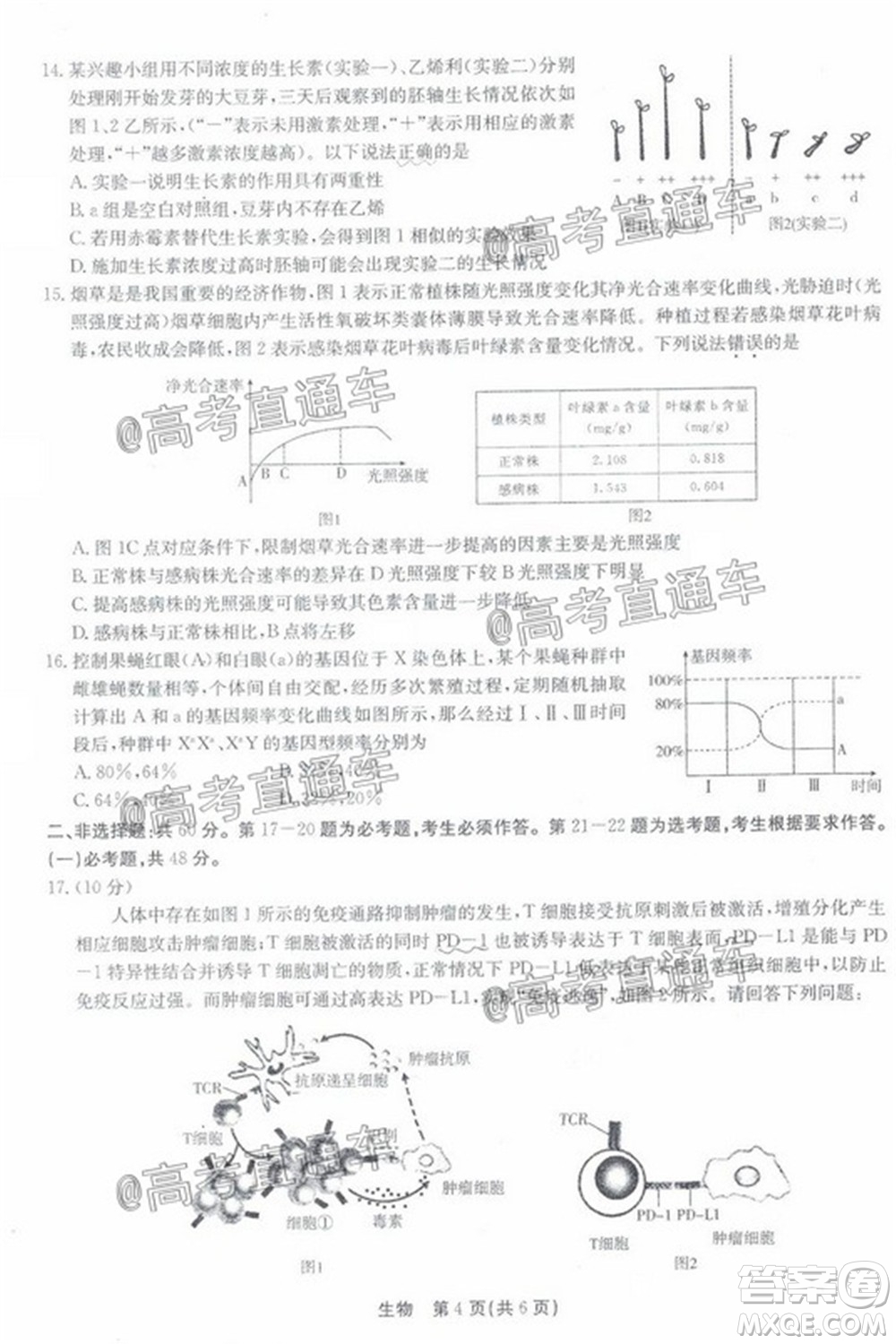 廣東省2022屆高三8月階段性質量檢測生物試題及答案