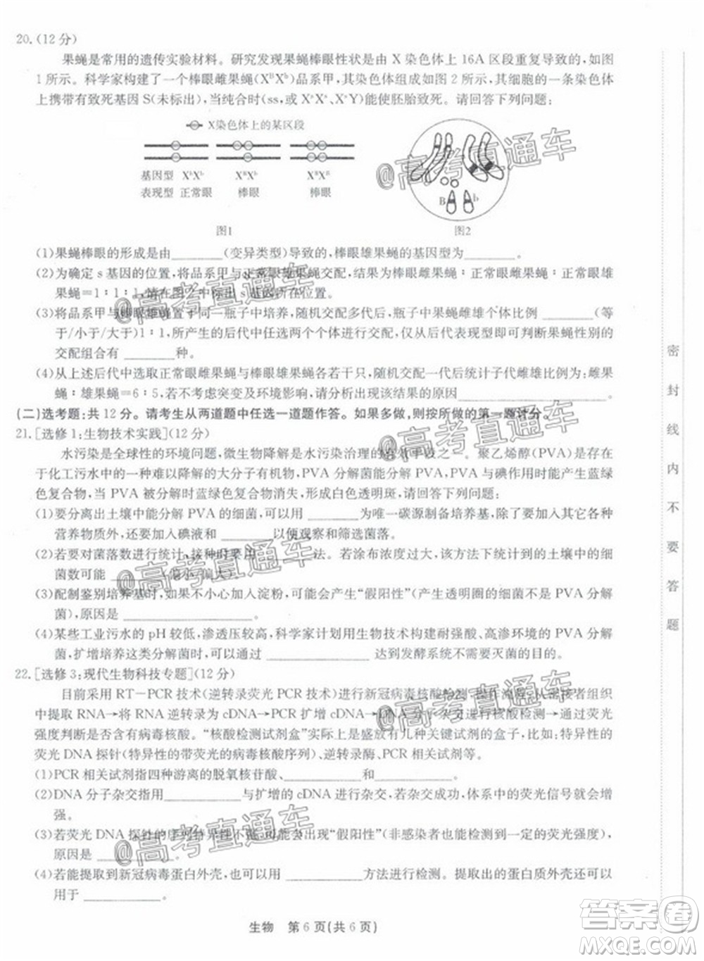 廣東省2022屆高三8月階段性質量檢測生物試題及答案