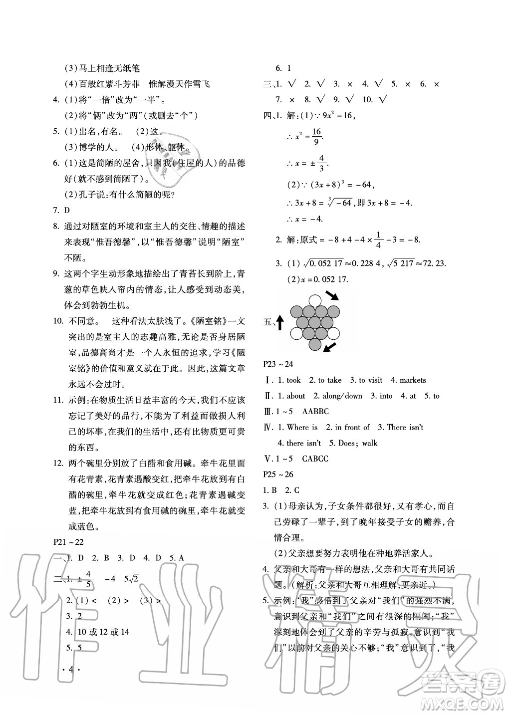 北京教育出版社2021新課標假期樂園暑假七年級合訂本河南專版答案