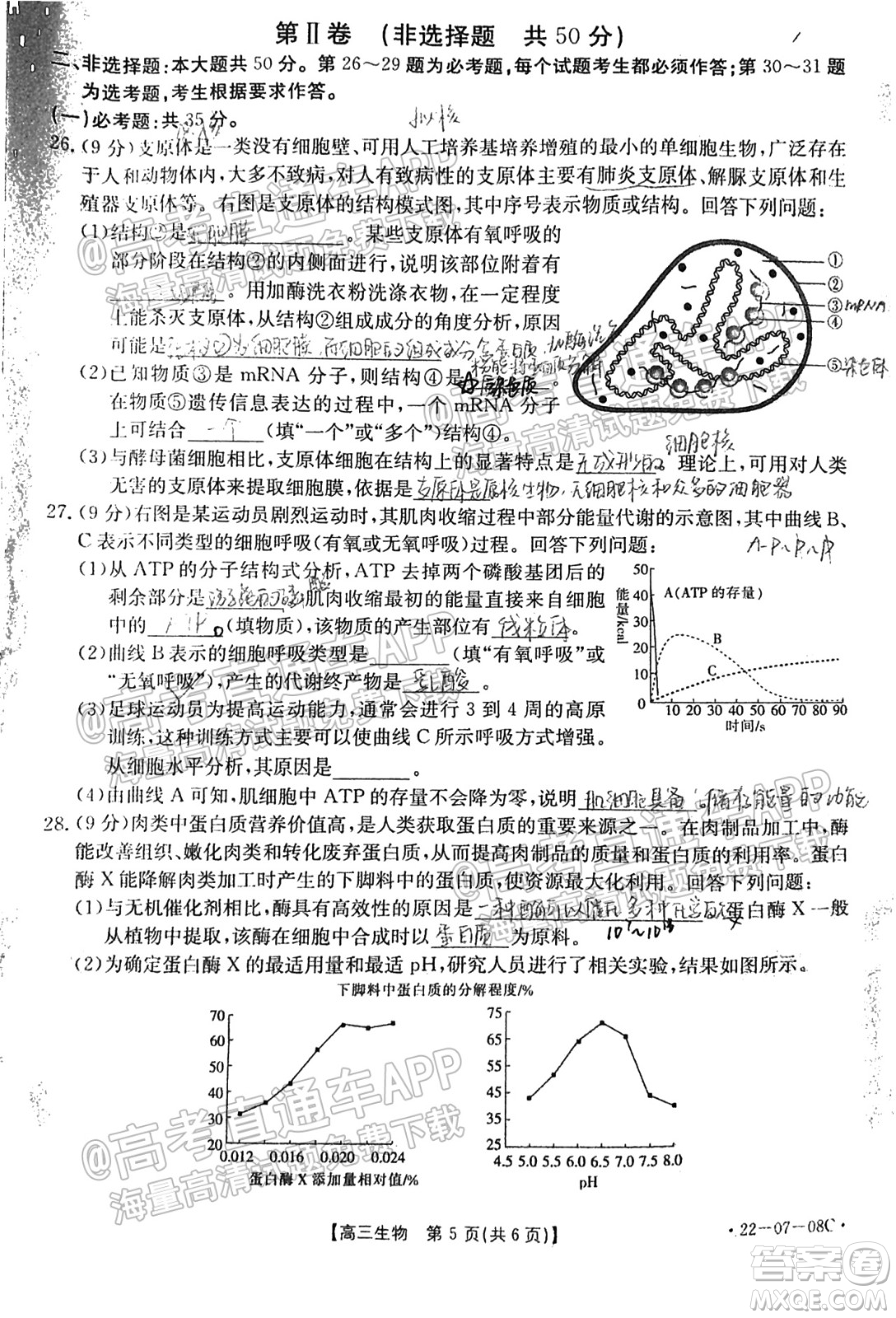 2022屆貴州金太陽聯(lián)考高三生物試題及答案