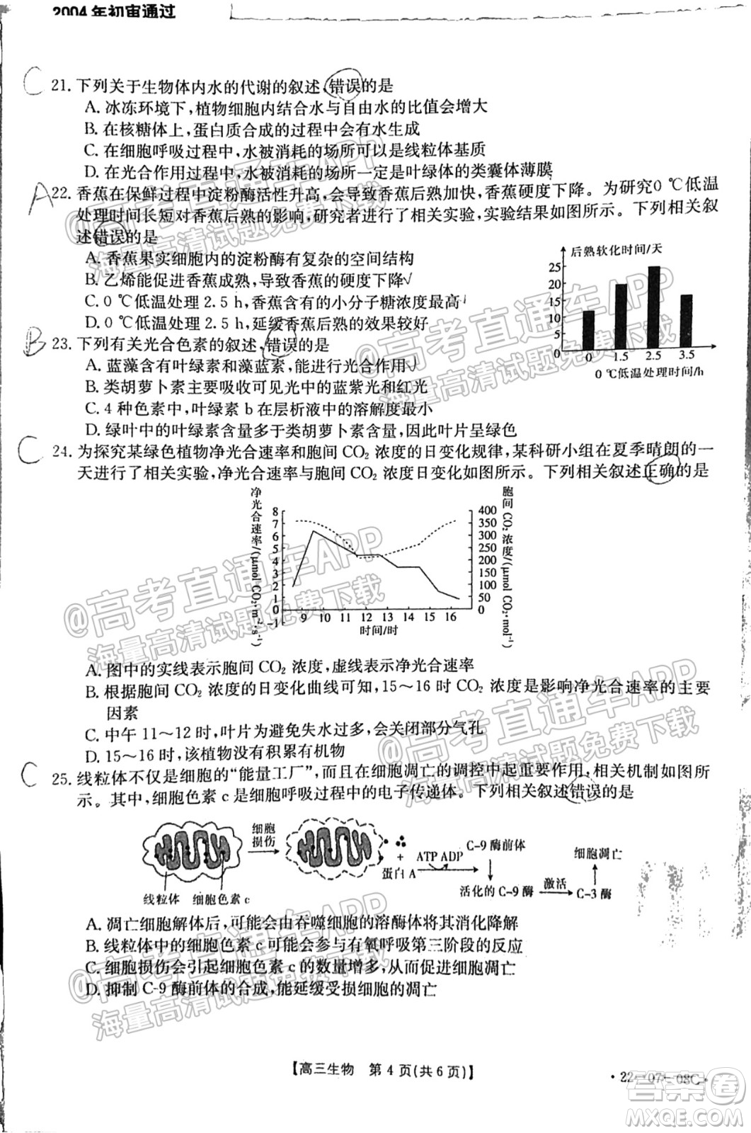 2022屆貴州金太陽聯(lián)考高三生物試題及答案