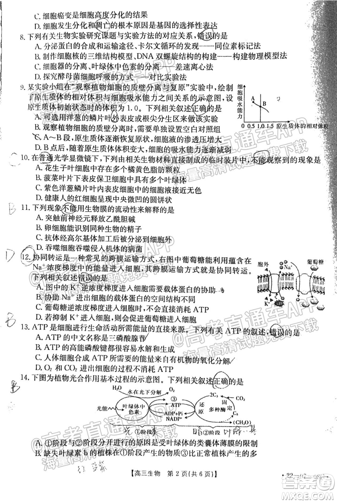 2022屆貴州金太陽聯(lián)考高三生物試題及答案