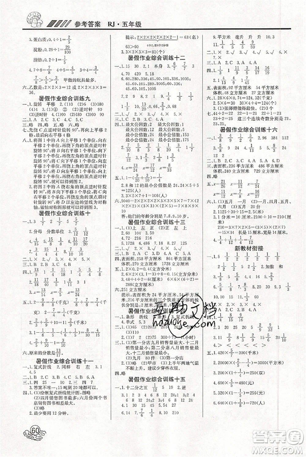 延邊教育出版社2021年度總復(fù)習(xí)快樂假期5升6數(shù)學(xué)RJ人教版答案