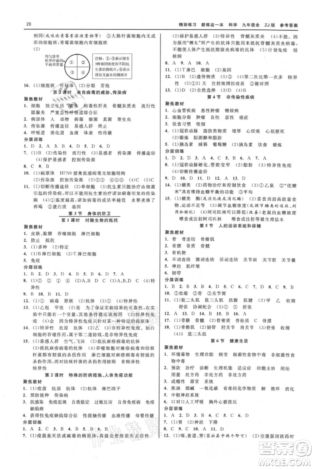 浙江工商大學(xué)出版社2021精彩練習(xí)就練這一本九年級(jí)科學(xué)浙教版參考答案