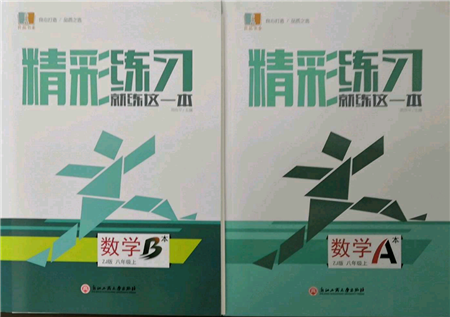 浙江工商大學出版社2021精彩練習就練這一本八年級上冊數(shù)學浙教版參考答案