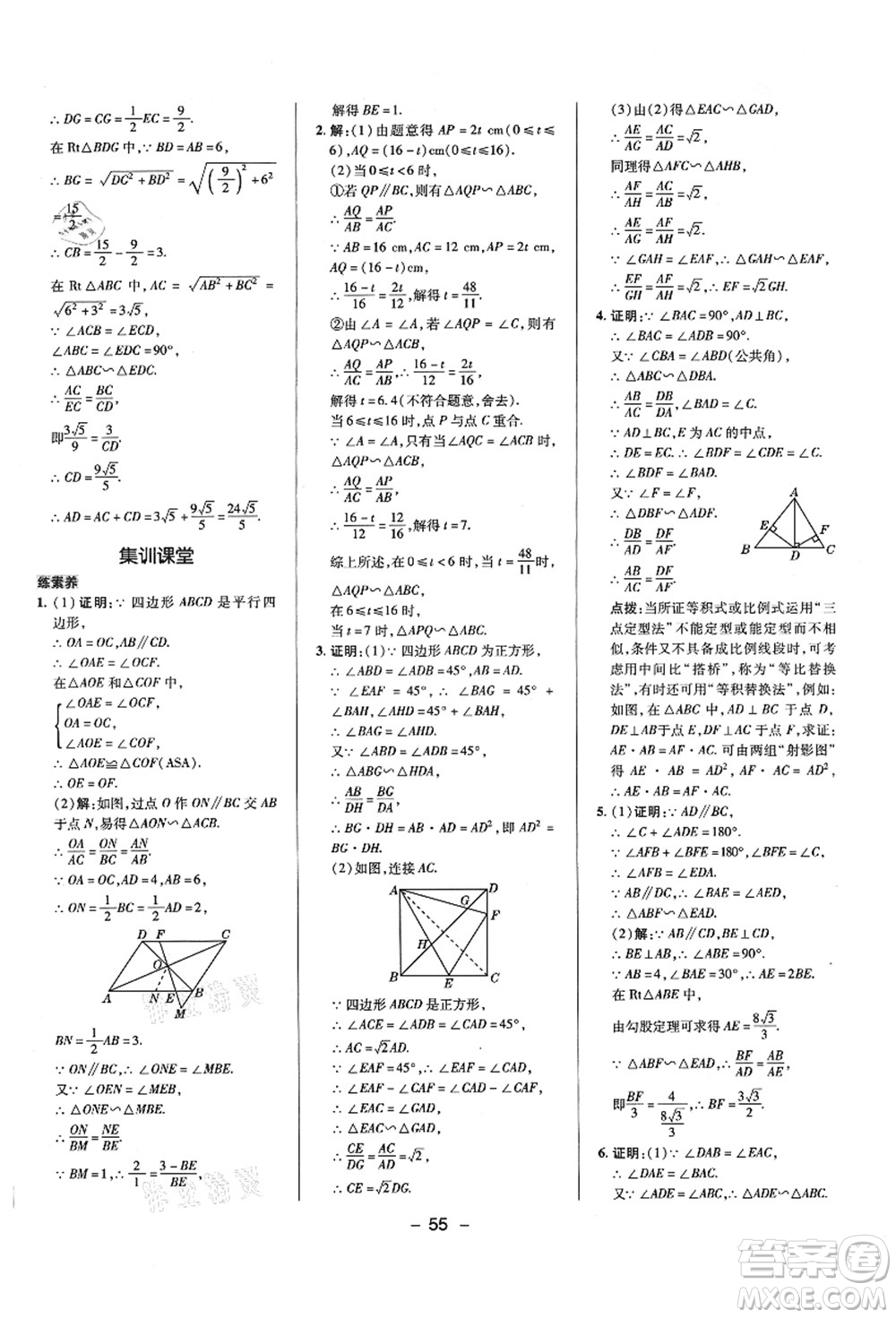 陜西人民教育出版社2021典中點(diǎn)綜合應(yīng)用創(chuàng)新題九年級數(shù)學(xué)上冊BS北師大版答案