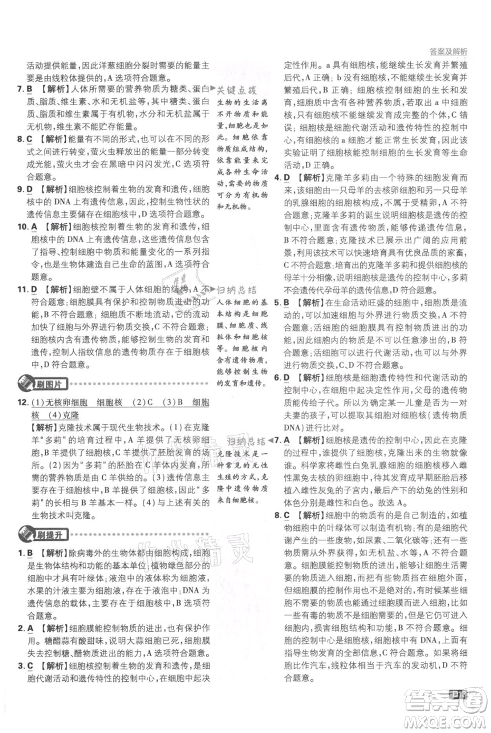 開明出版社2021初中必刷題七年級上冊生物人教版參考答案