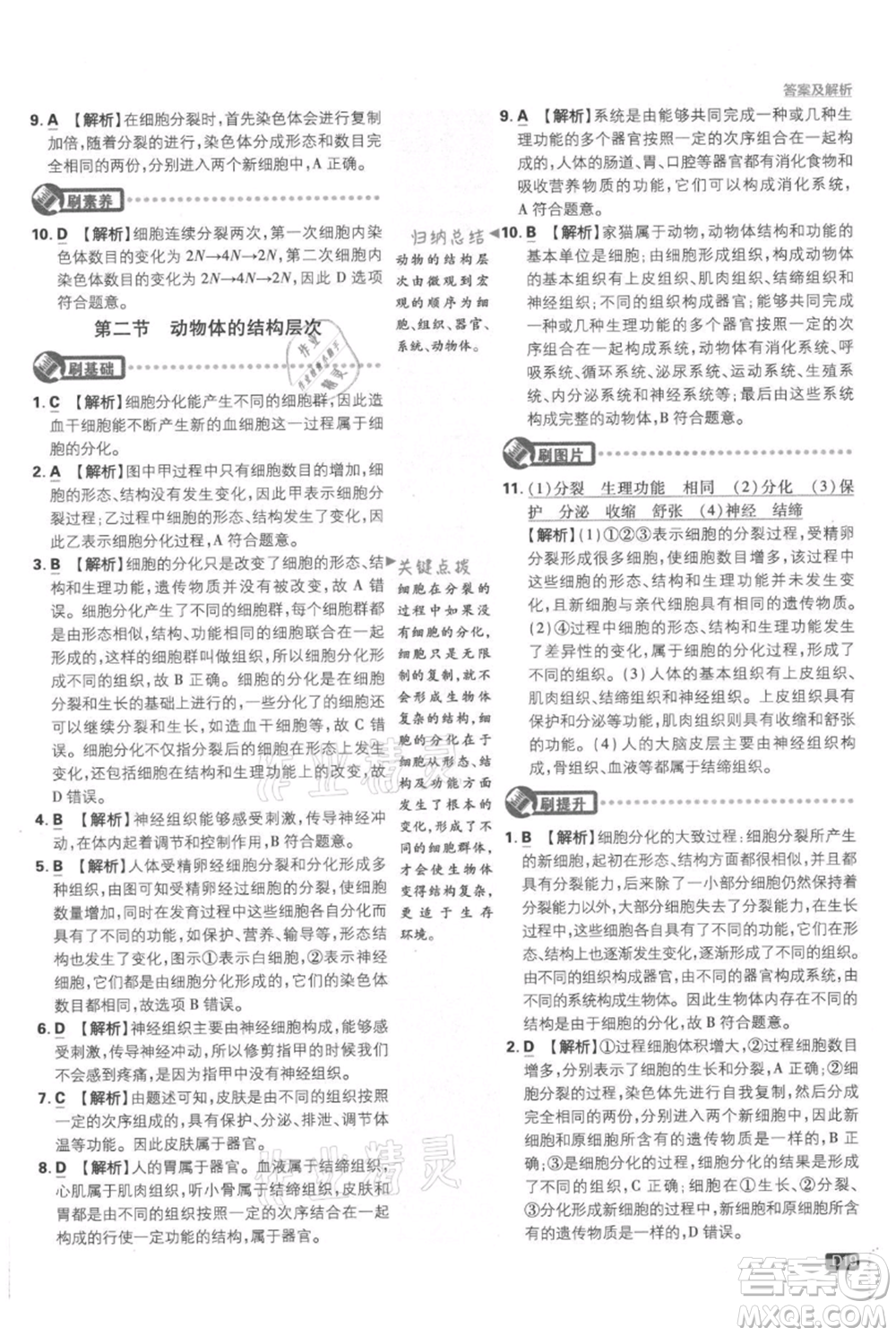 開明出版社2021初中必刷題七年級上冊生物人教版參考答案