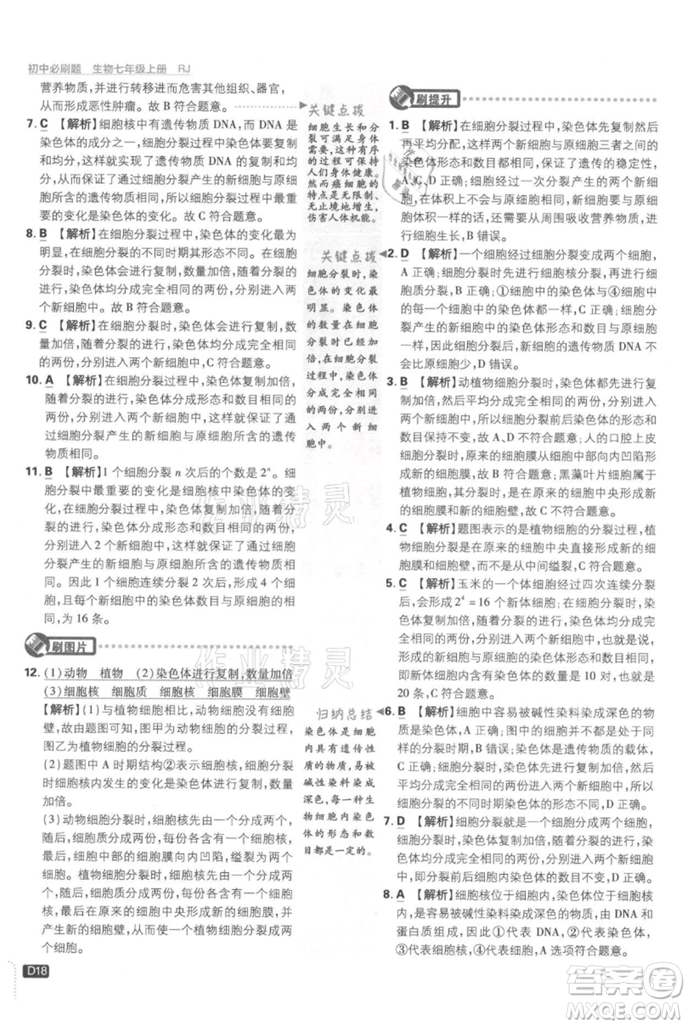 開明出版社2021初中必刷題七年級上冊生物人教版參考答案