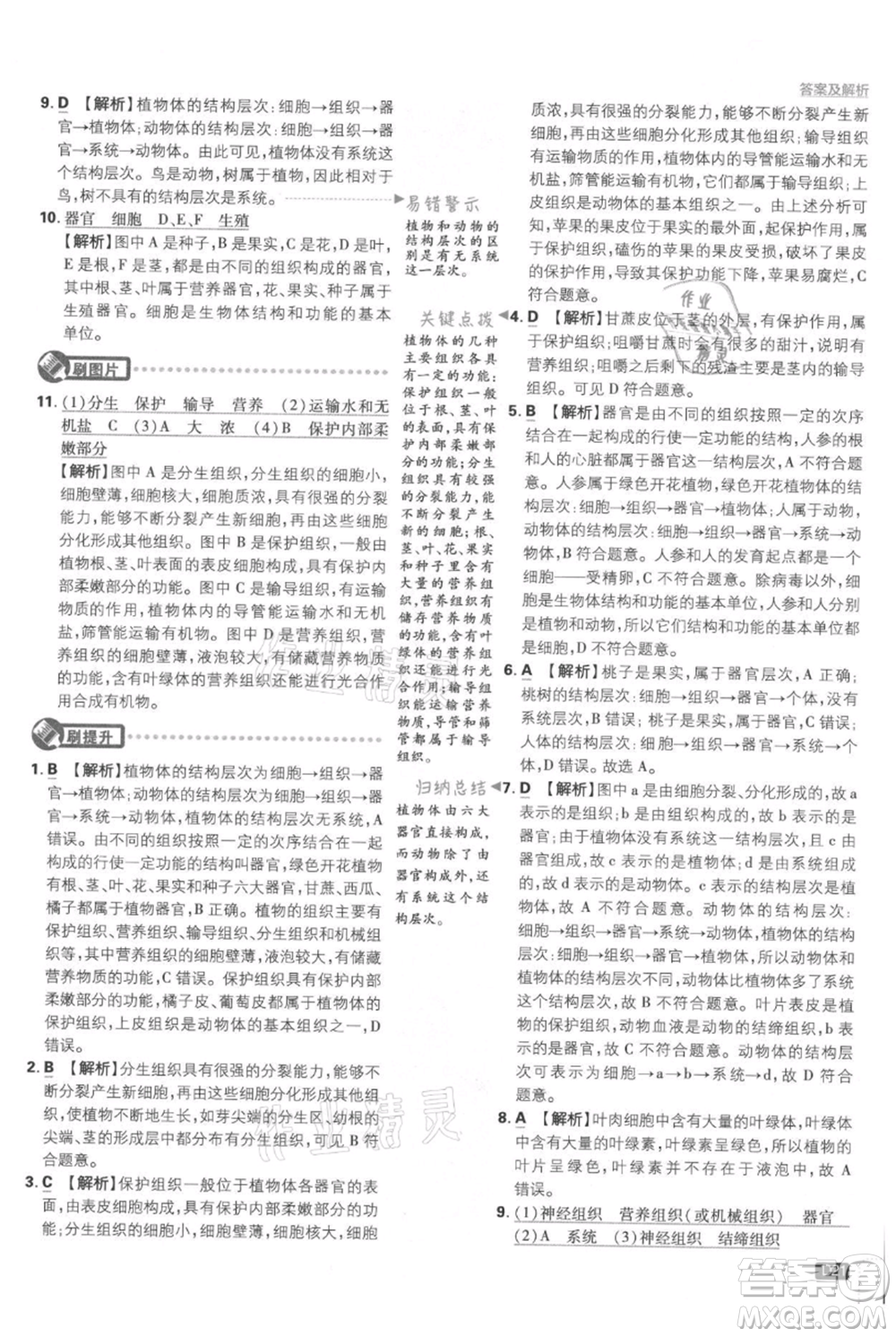 開明出版社2021初中必刷題七年級上冊生物人教版參考答案