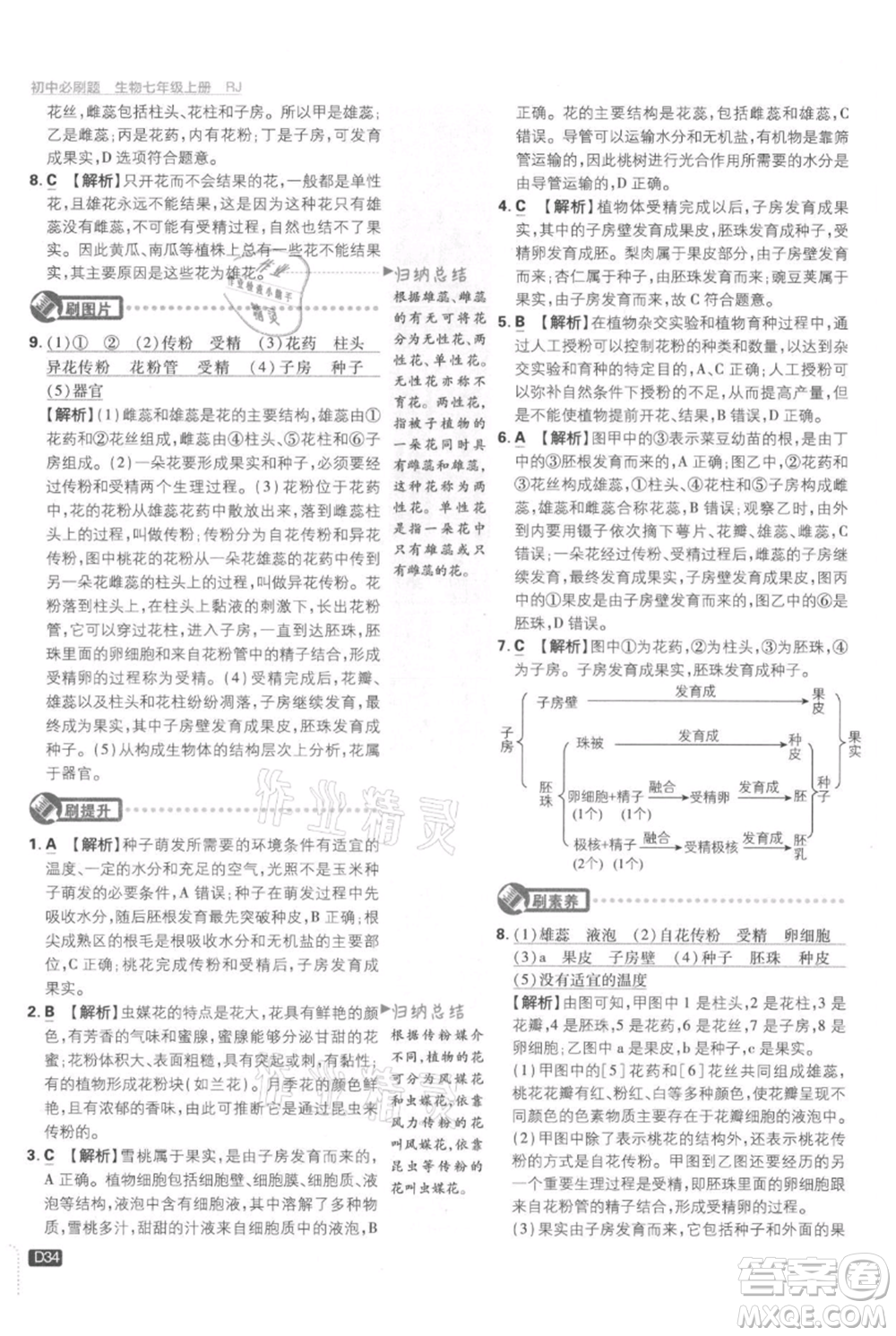 開明出版社2021初中必刷題七年級上冊生物人教版參考答案