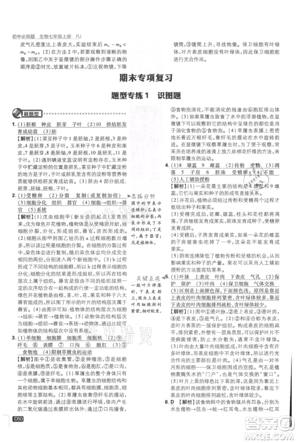 開明出版社2021初中必刷題七年級上冊生物人教版參考答案