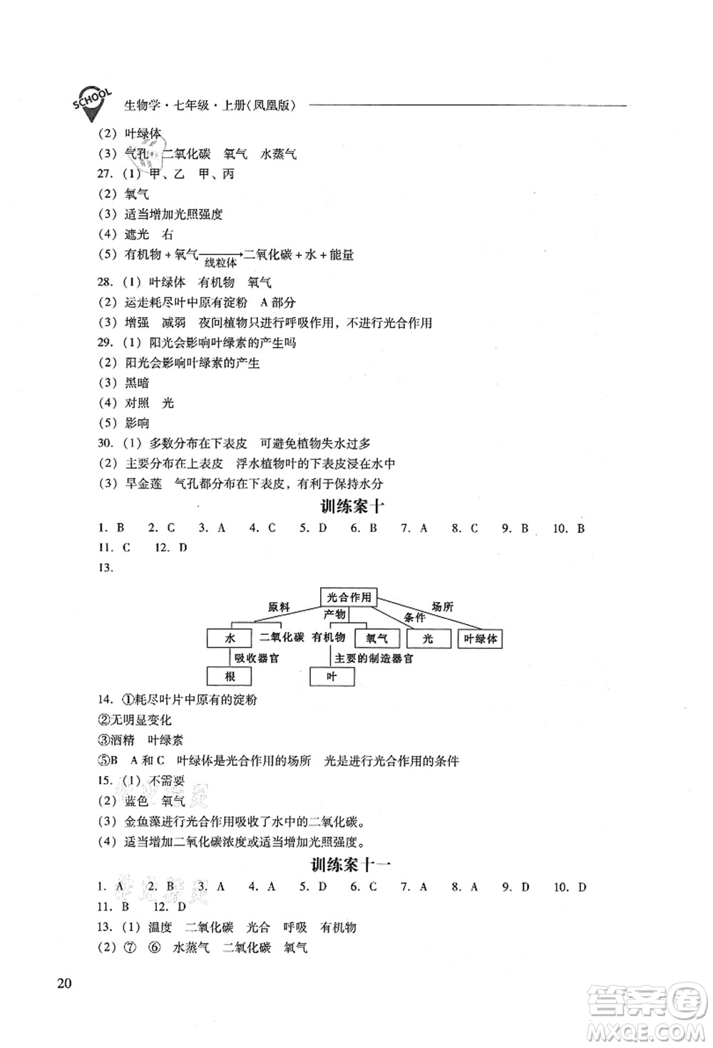 山西教育出版社2021新課程問題解決導(dǎo)學(xué)方案七年級(jí)生物上冊(cè)鳳凰版答案