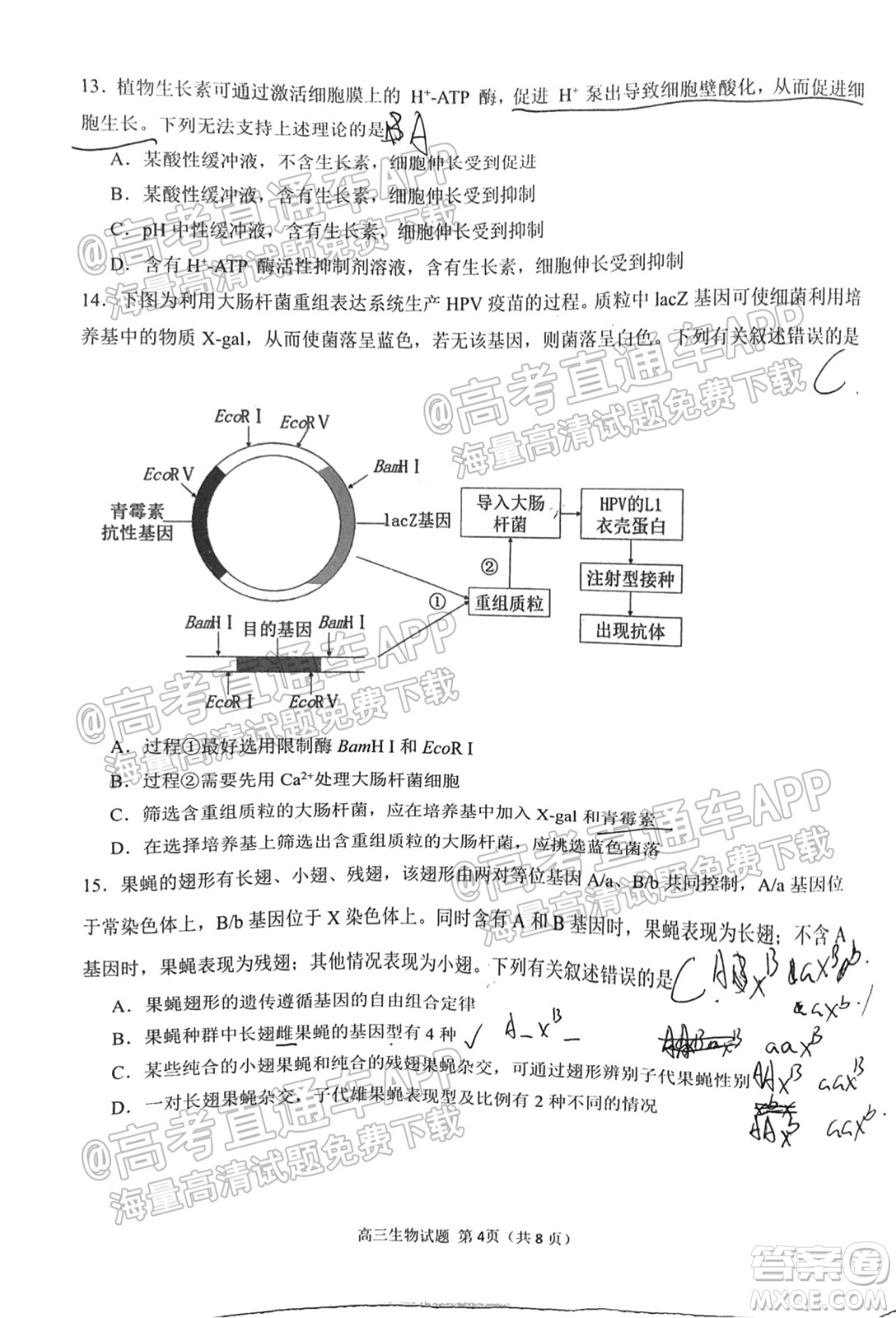 泉州市2022屆高中畢業(yè)班質(zhì)量監(jiān)測一高三生物試題及答案