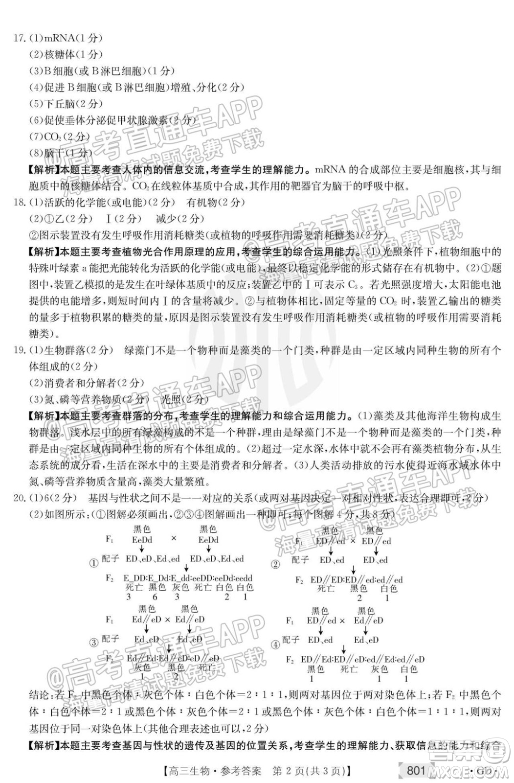 2022屆廣東高三8月金太陽(yáng)聯(lián)考生物試題及答案