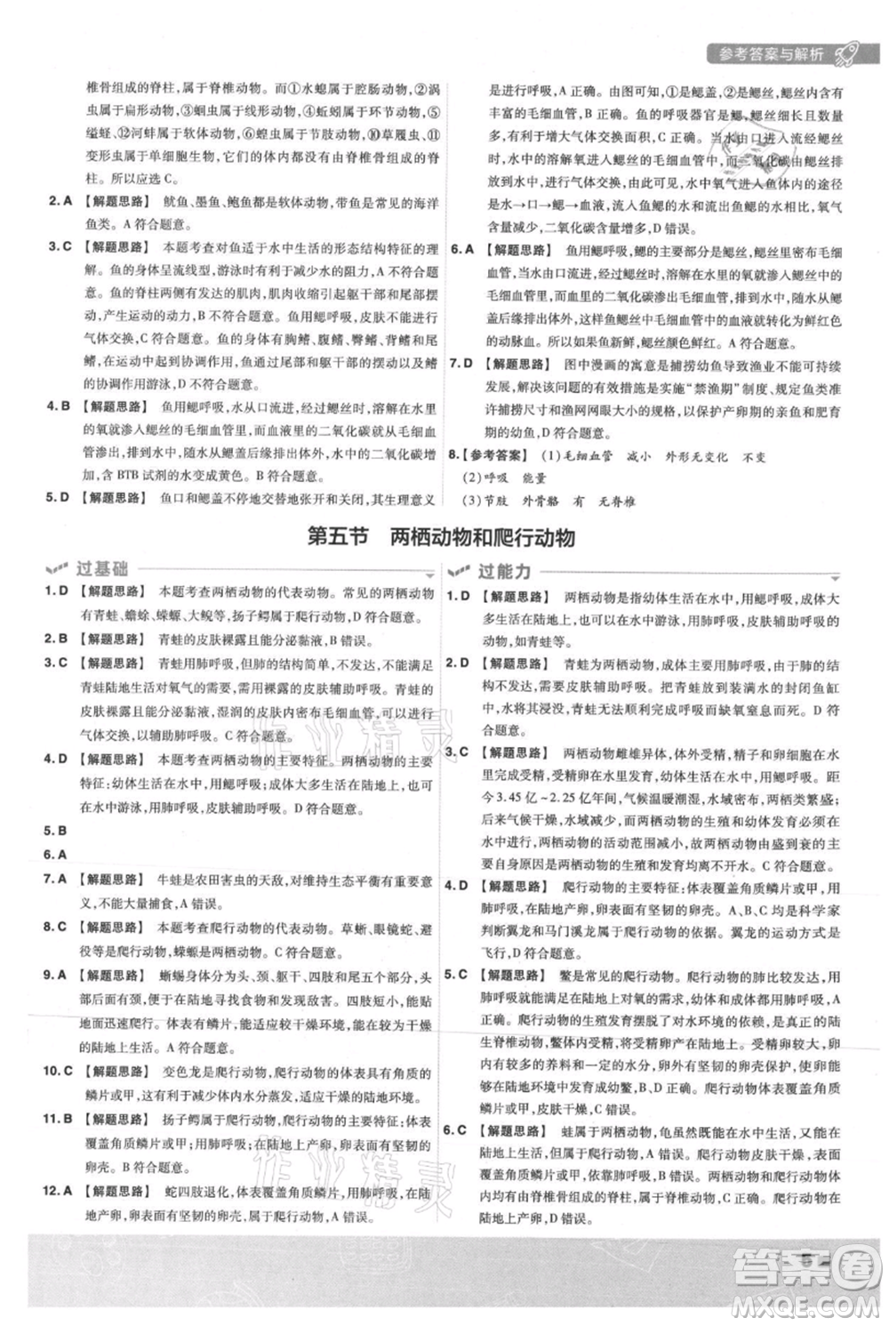 南京師范大學(xué)出版社2021一遍過八年級上冊生物人教版參考答案