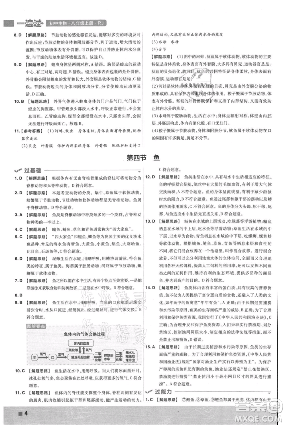 南京師范大學(xué)出版社2021一遍過八年級上冊生物人教版參考答案