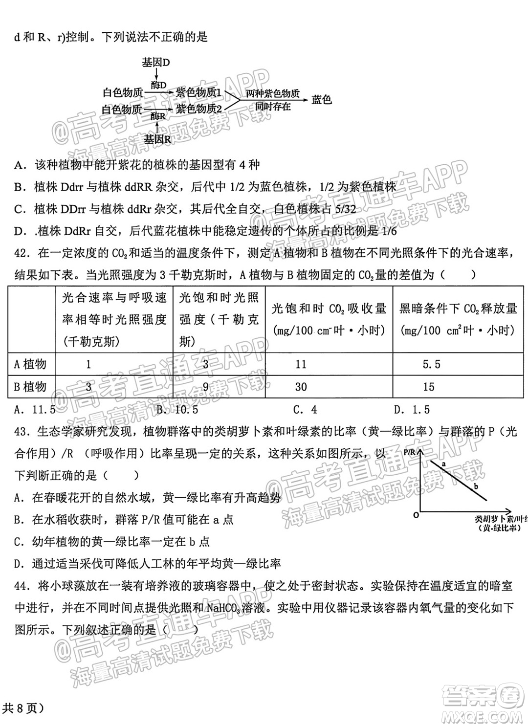 哈爾濱市第九中學(xué)校2021-2022學(xué)年度上學(xué)期適應(yīng)性考試高三生物試題答案