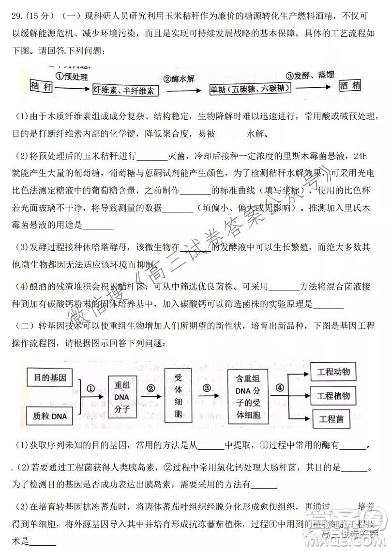 2021學(xué)年第一學(xué)期浙江省七彩陽光新高考研究聯(lián)盟返校考生物試題及答案