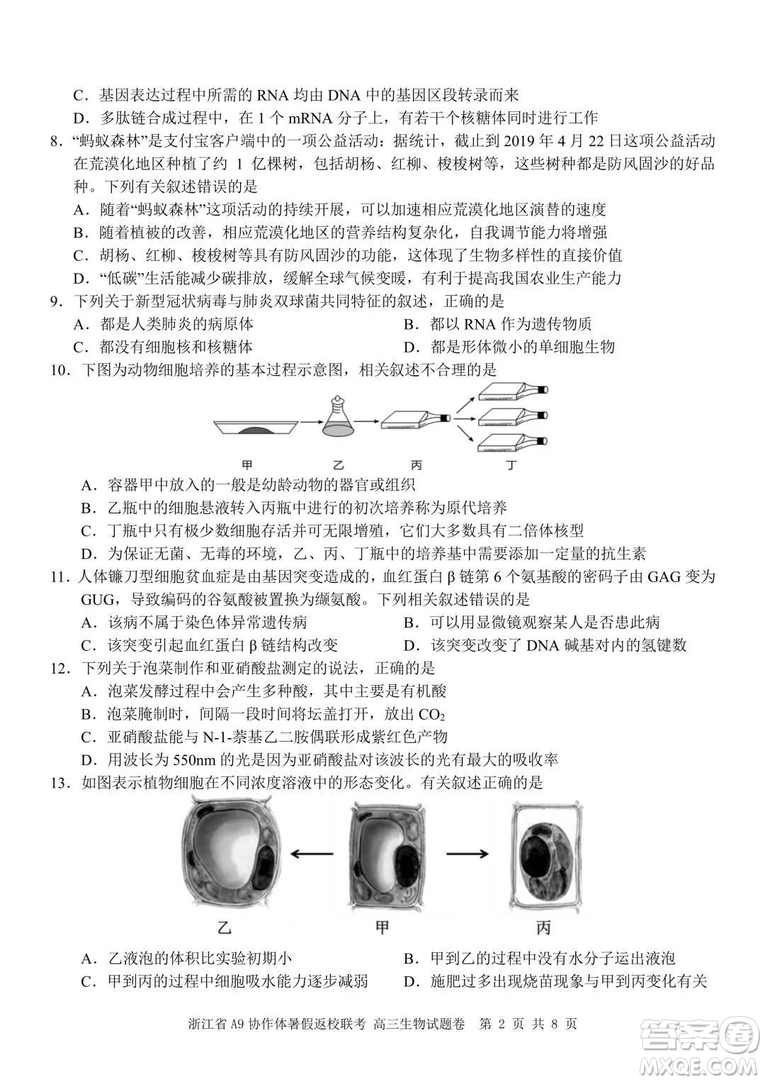 2022屆浙江省A9協(xié)作體暑假返校聯(lián)考高三生物試題卷及答案