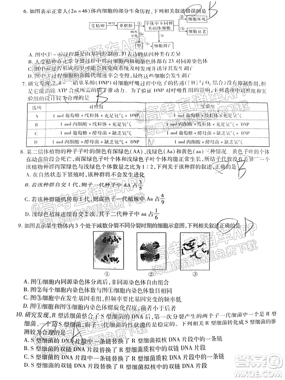 智慧上進(jìn)2021-2022學(xué)年新高三入學(xué)摸底考試生物試題及參考答案