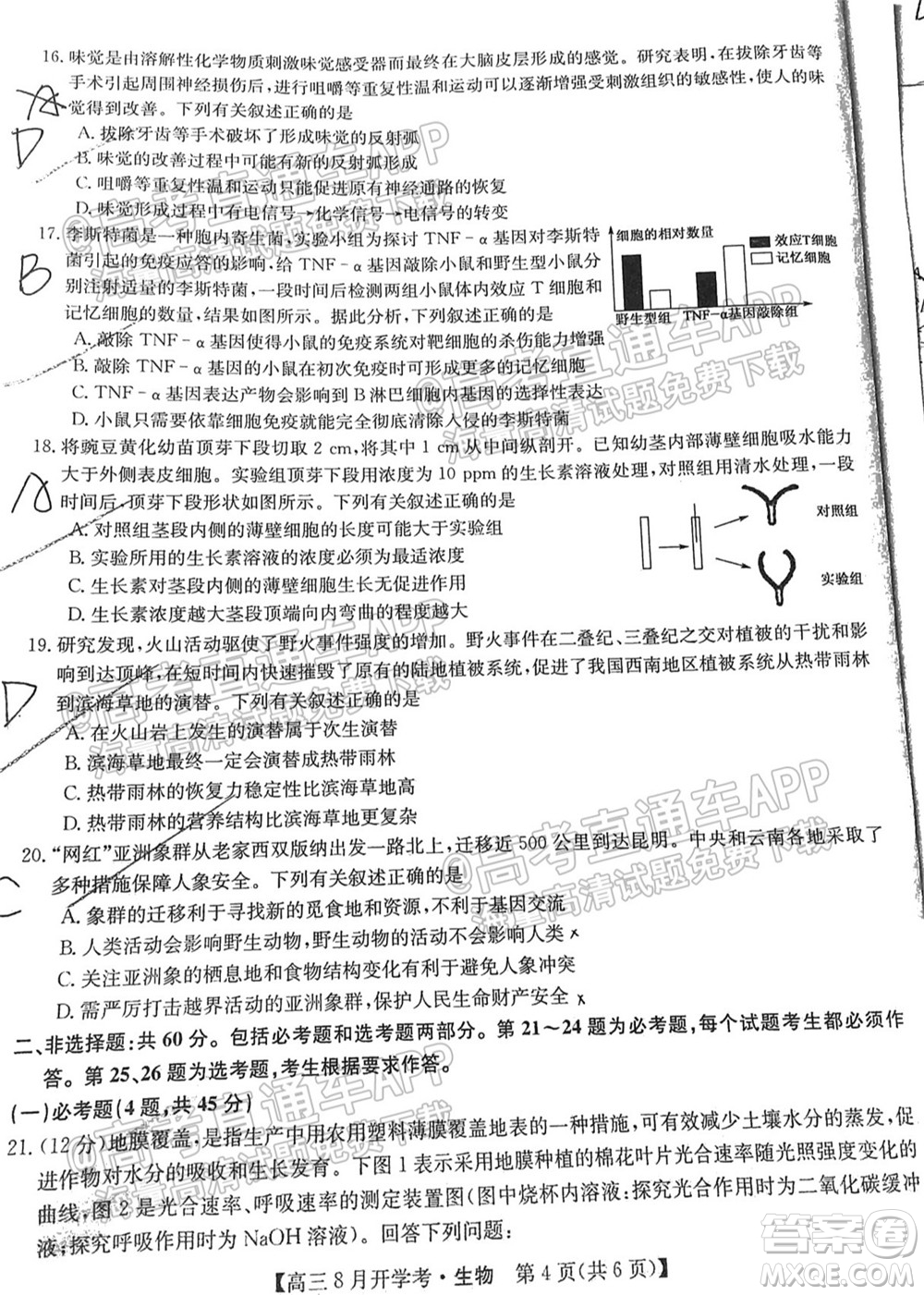 2022屆九師聯(lián)盟高三9月開學(xué)考生物試題及答案