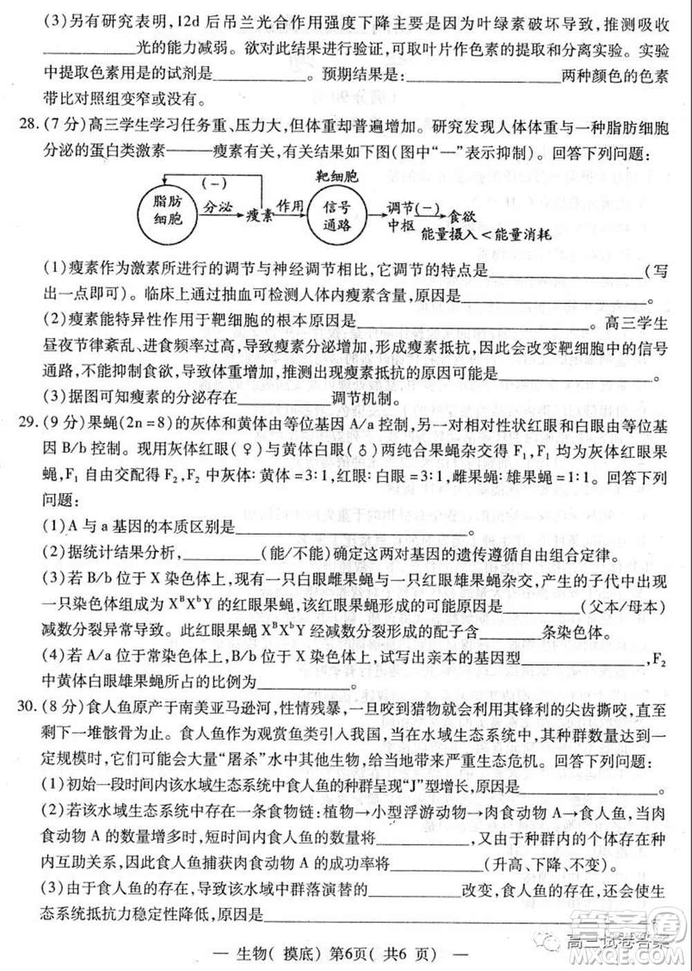 南昌市2022屆高三摸底測試卷生物試題及答案