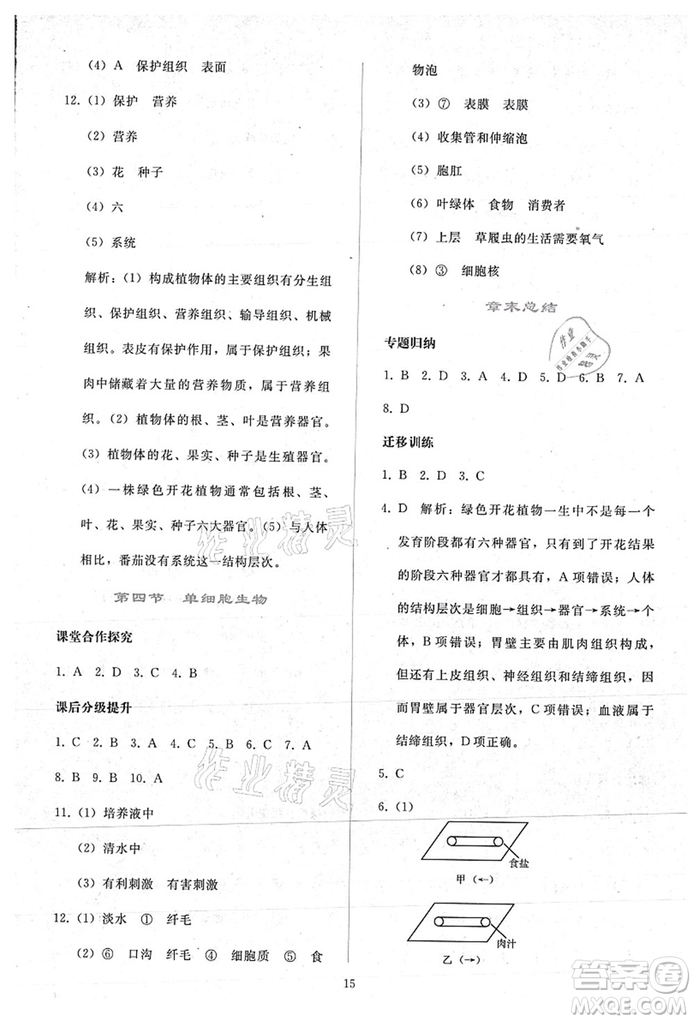 人民教育出版社2021同步輕松練習(xí)七年級生物上冊人教版答案