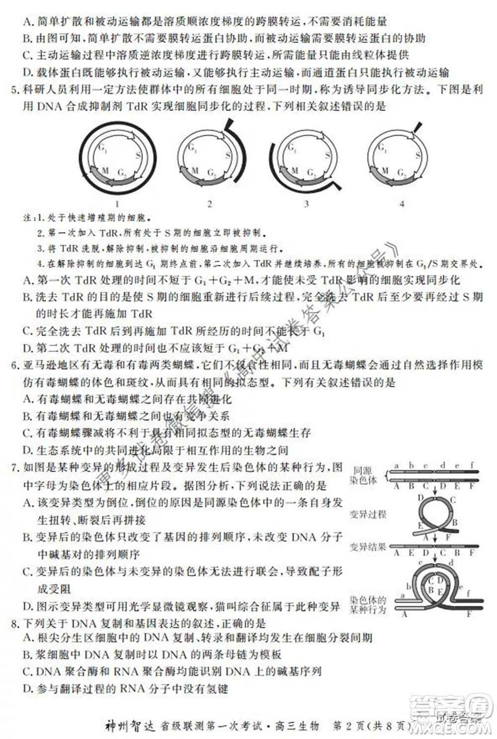 神州智達省級聯(lián)測2021-2022第一次考試高三生物試題及答案