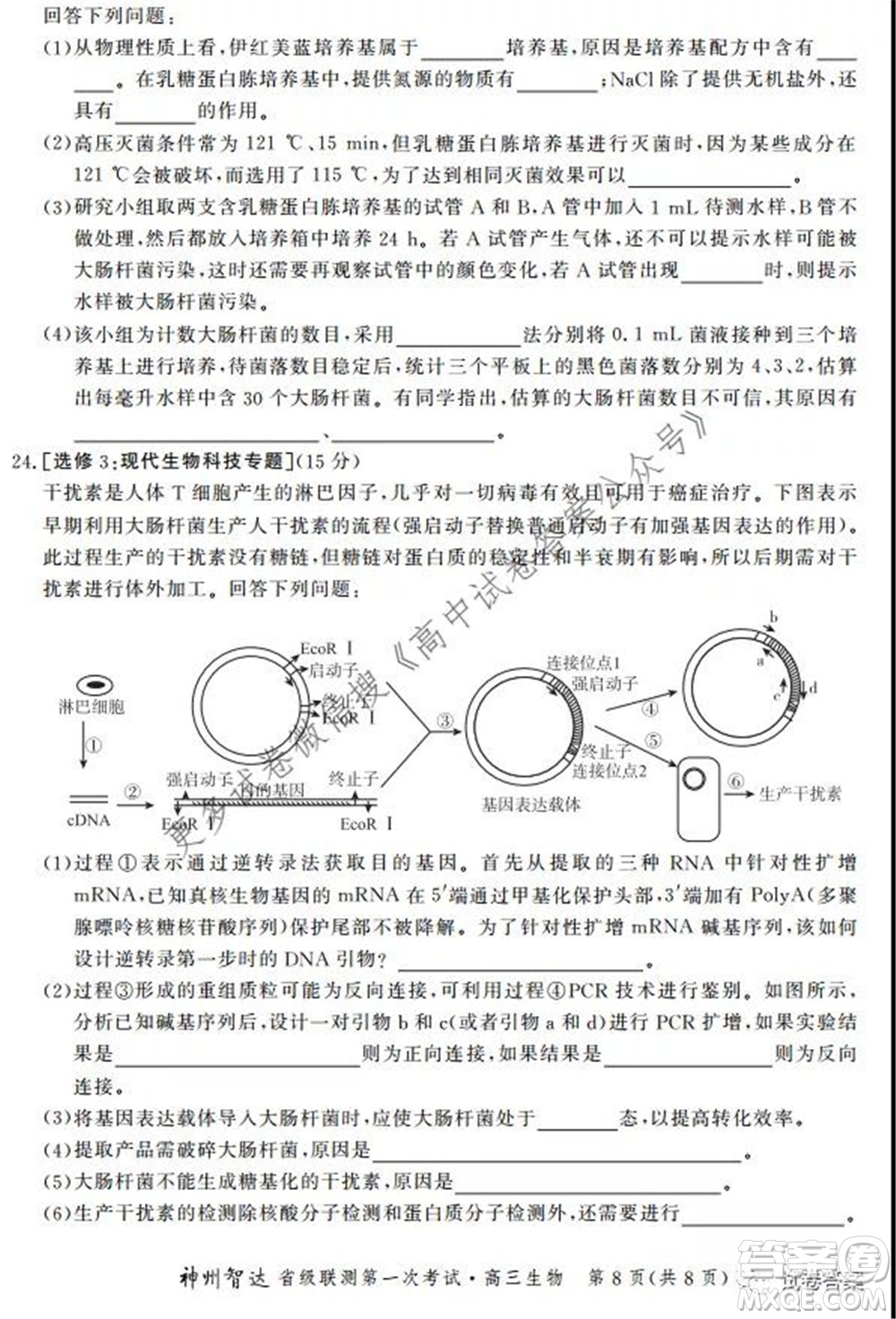 神州智達省級聯(lián)測2021-2022第一次考試高三生物試題及答案