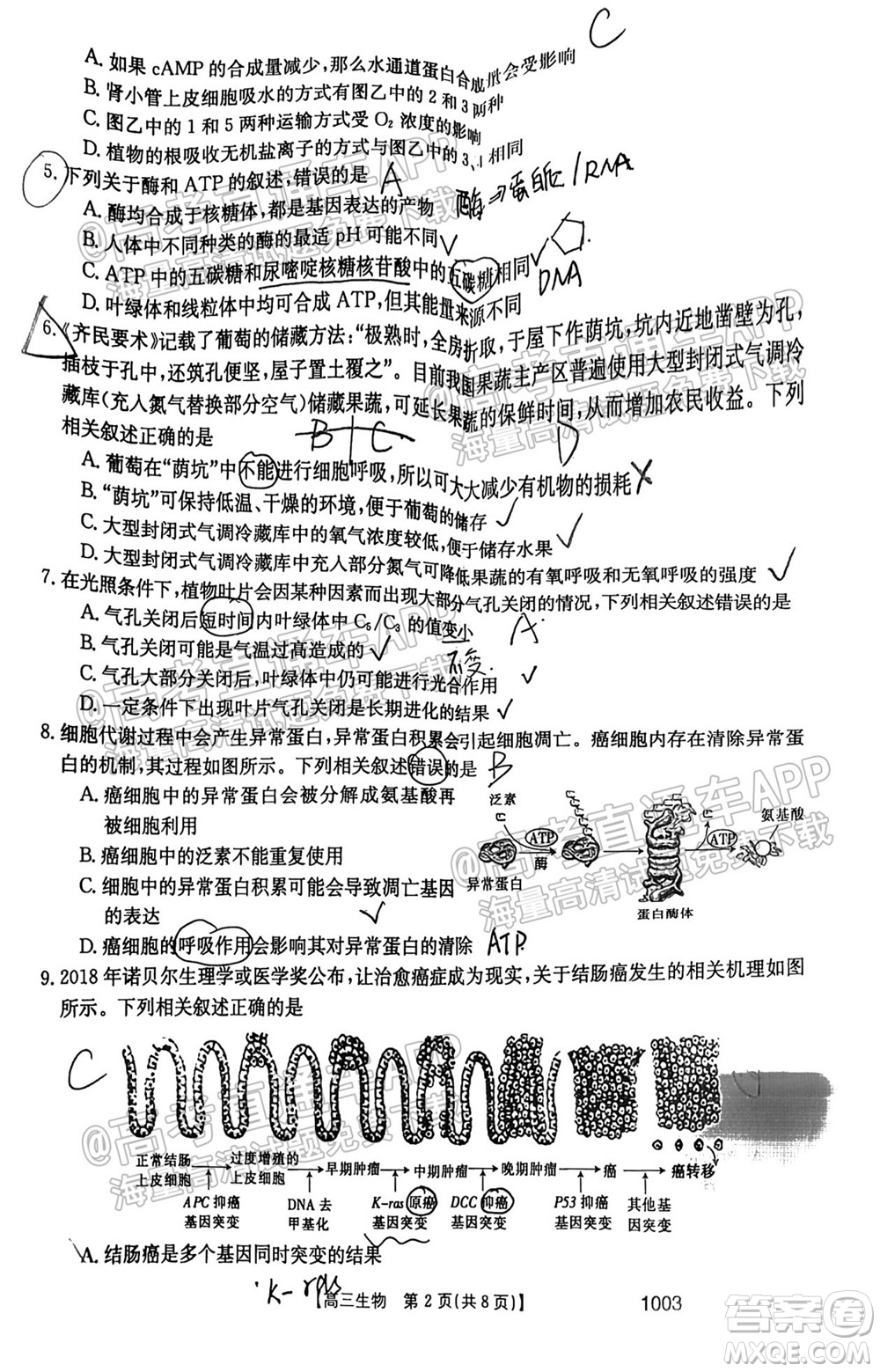 2022屆金太陽百萬聯(lián)考1003高三生物試題及答案