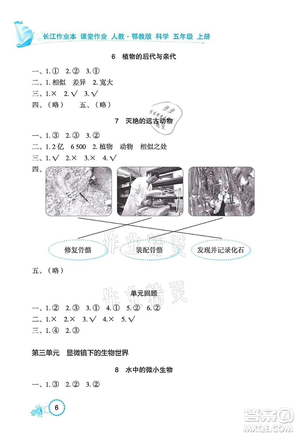 湖北教育出版社2021長江作業(yè)本課堂作業(yè)五年級科學(xué)上冊人教鄂教版答案