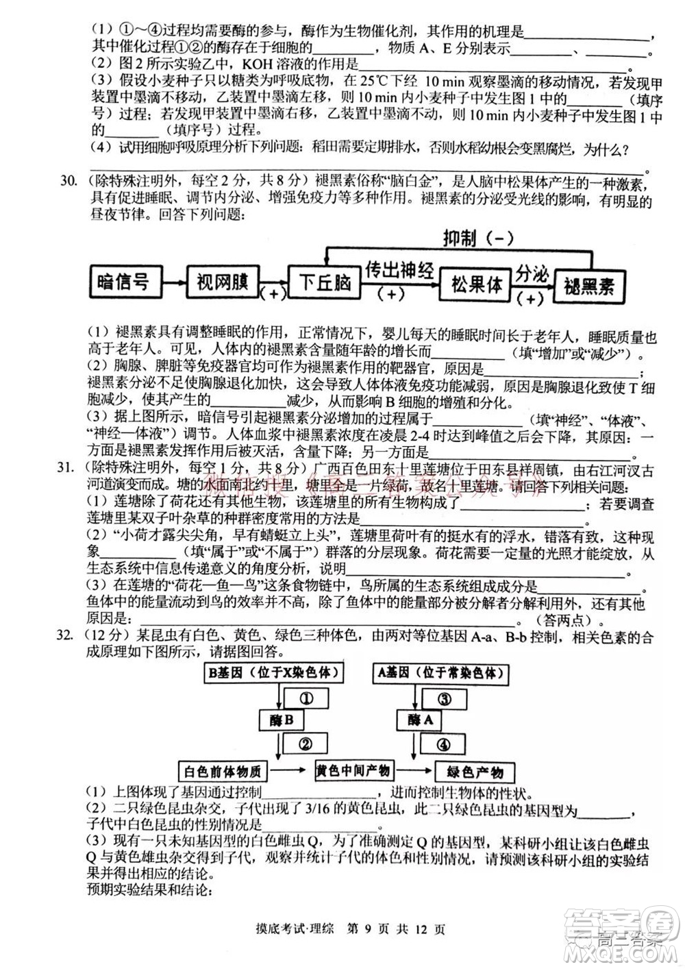 2022屆廣西普通高校摸底考試?yán)砜凭C合試題及答案