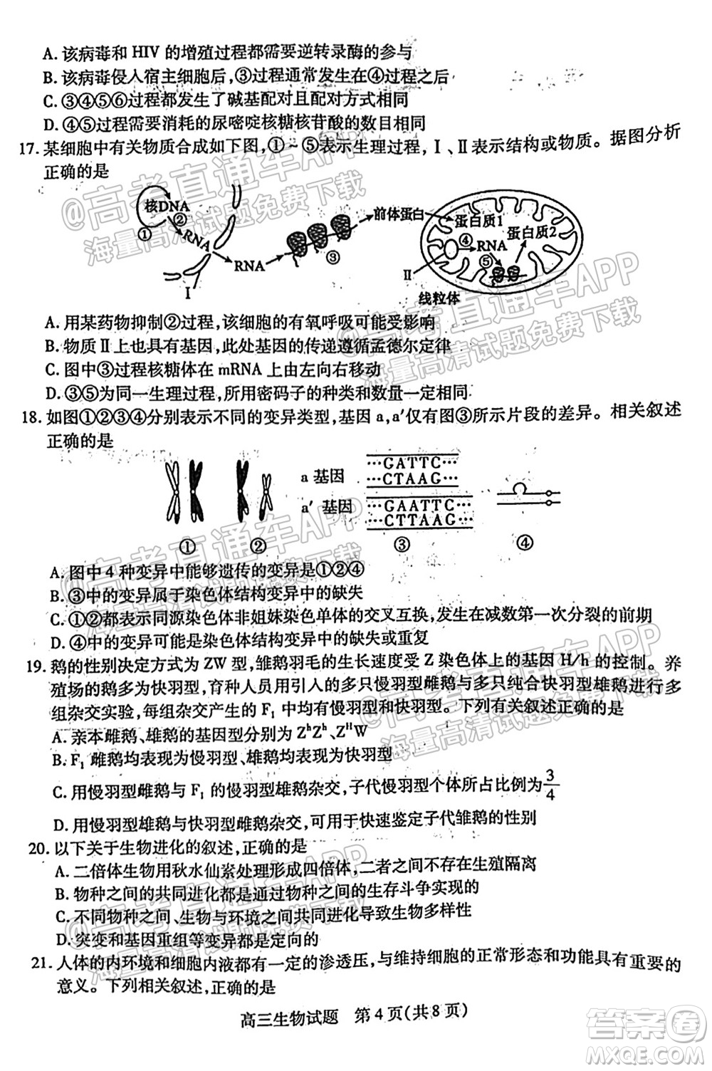 運城市2021年高三年級摸底調(diào)研測試生物試卷及答案