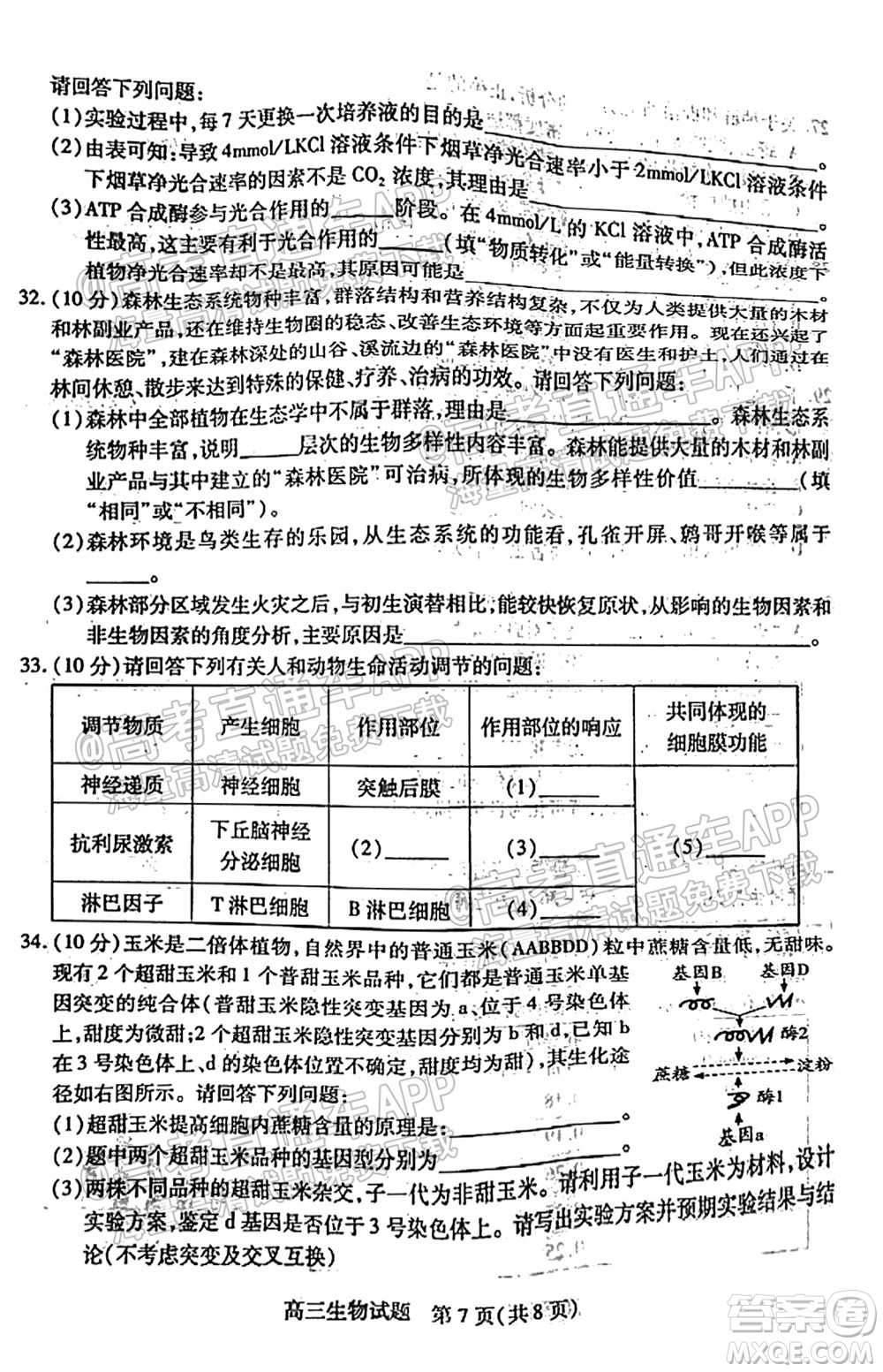 運城市2021年高三年級摸底調(diào)研測試生物試卷及答案