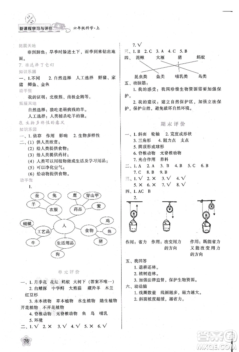 陜西人民教育出版社2021新課程學(xué)習(xí)與評價六年級科學(xué)上冊K版教科版參考答案