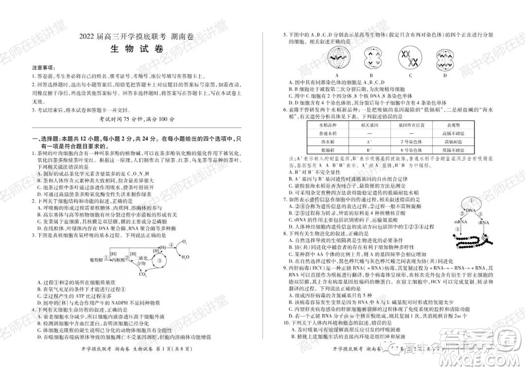 2022屆高三開學(xué)摸底聯(lián)考新高考I卷湖南卷生物試卷及答案