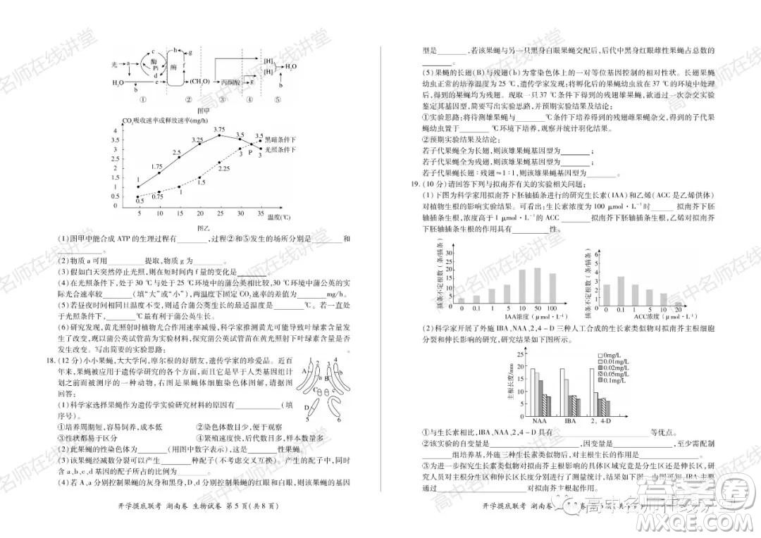 2022屆高三開學(xué)摸底聯(lián)考新高考I卷湖南卷生物試卷及答案