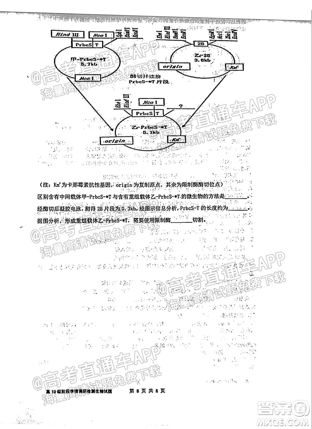 臨沂高19級階段學(xué)情調(diào)研生物試卷及答案