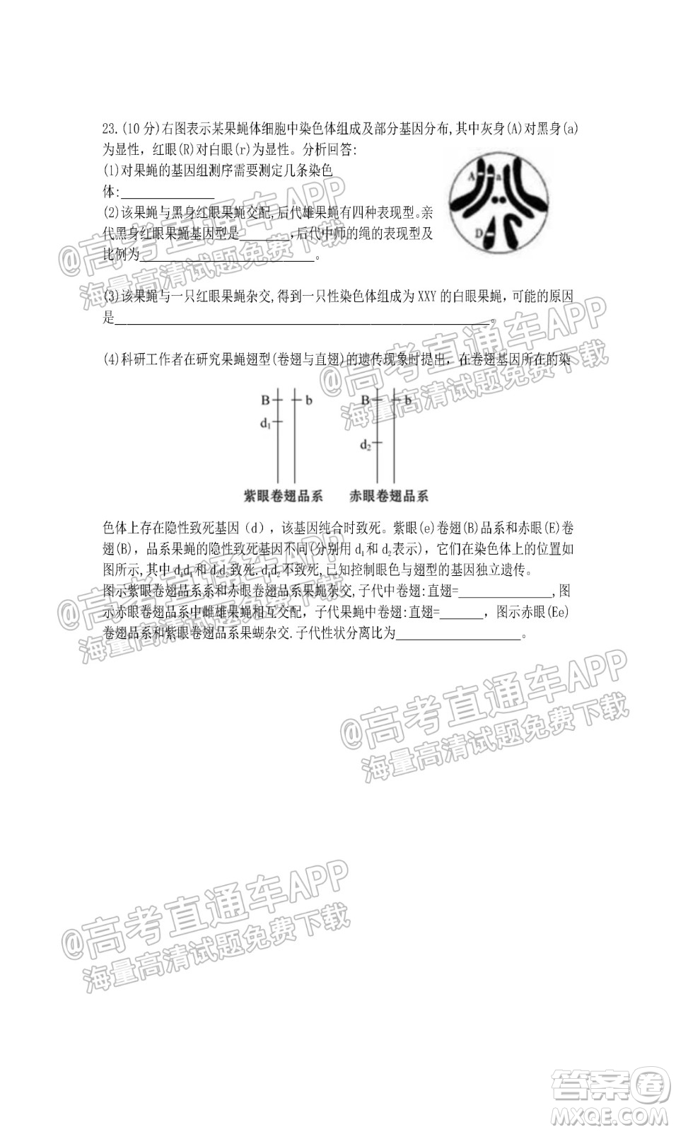 江蘇省2022屆百校聯(lián)考高三年級第一次考試生物試題及答案