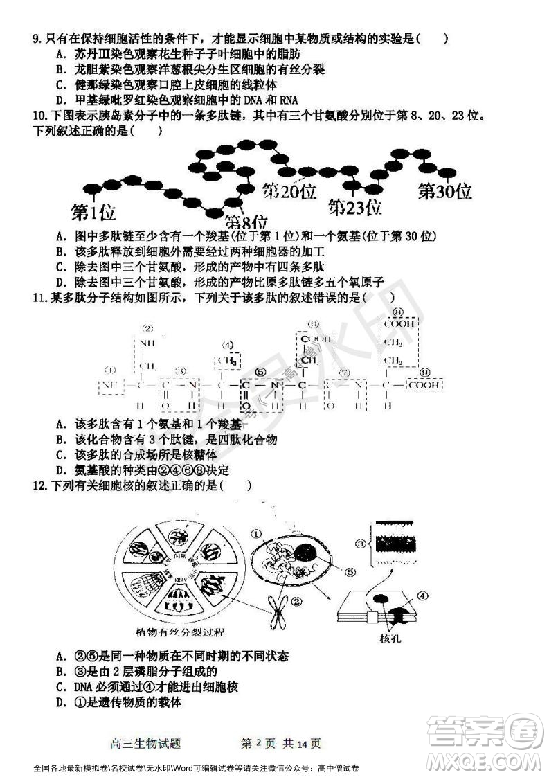 哈三中2021-2022學年度高三學年第一次驗收考試生物試卷及答案