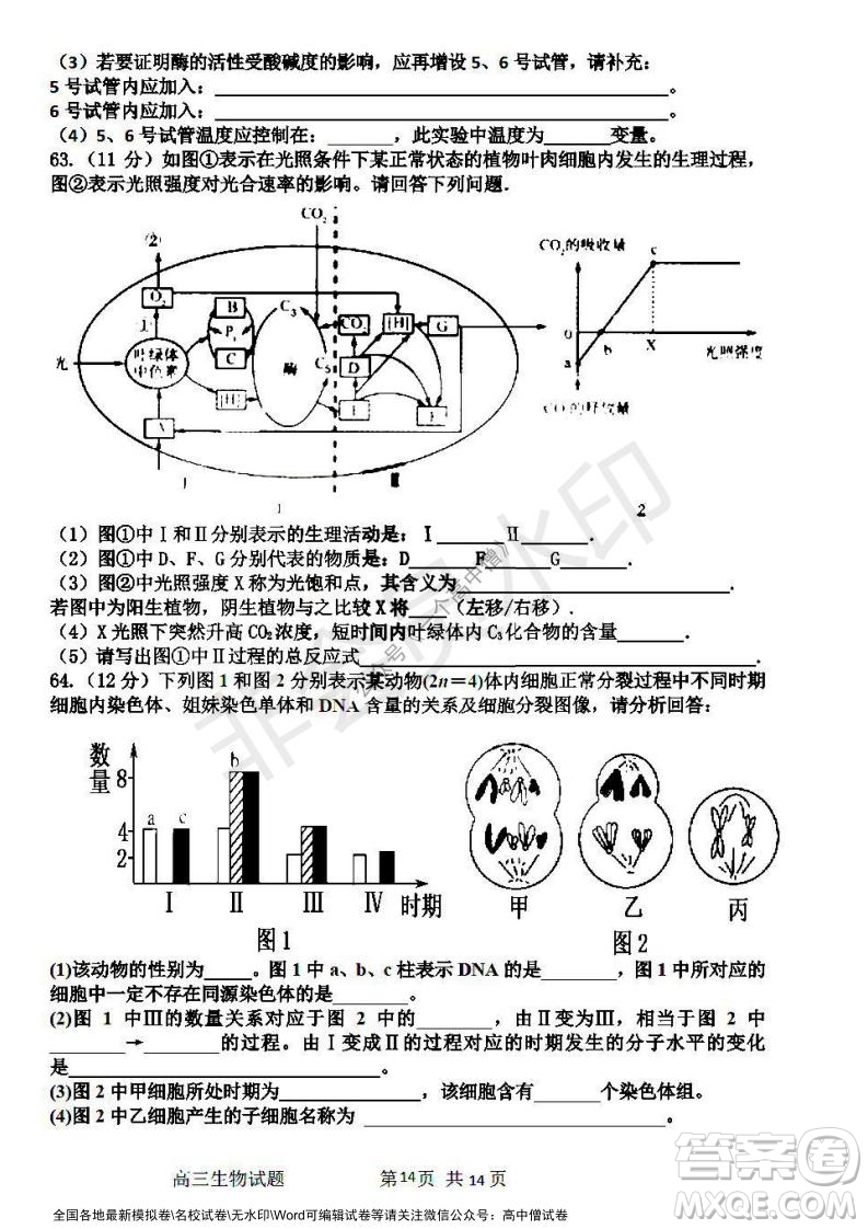 哈三中2021-2022學年度高三學年第一次驗收考試生物試卷及答案