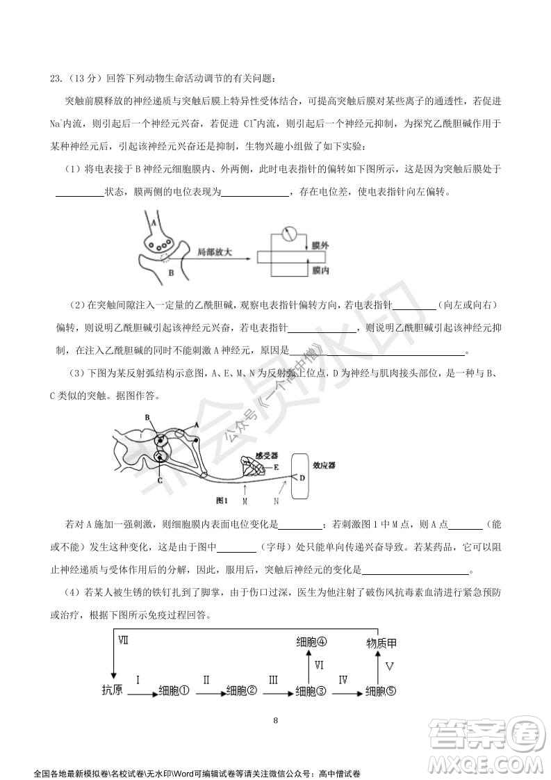 山東師大附中2019級2021-2022學年秋季開學考試生物試題及答案