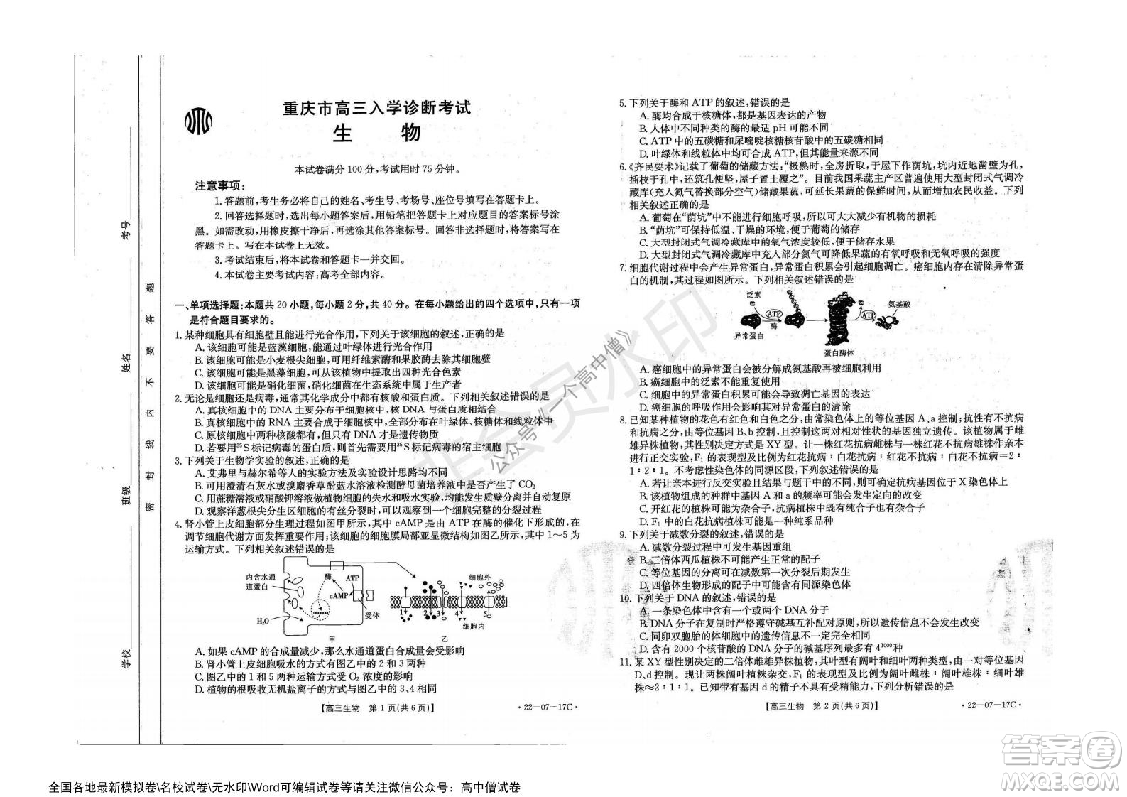 2022屆重慶金太陽(yáng)高三9月聯(lián)考生物試題及答案