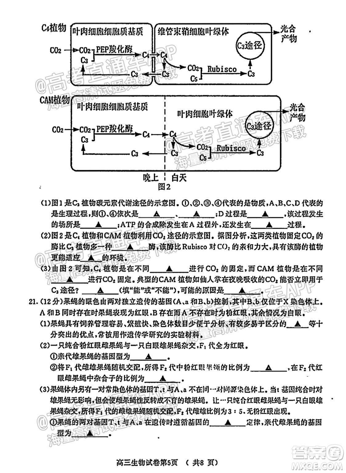 南京市2022屆高三年級學情調(diào)研生物試題及答案