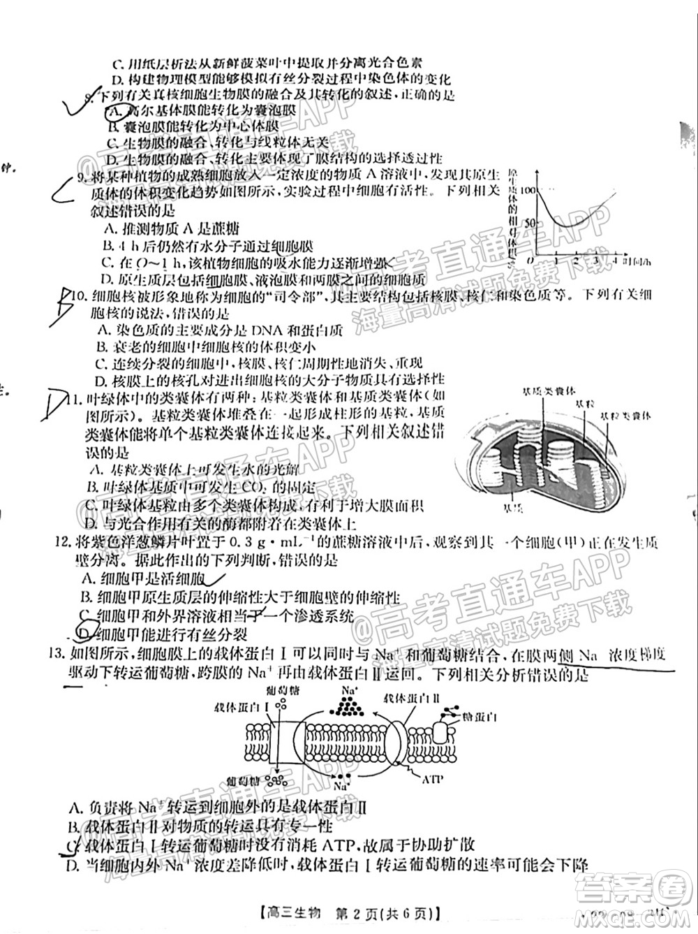 2022屆貴州金太陽高三9月聯(lián)考生物試題及答案