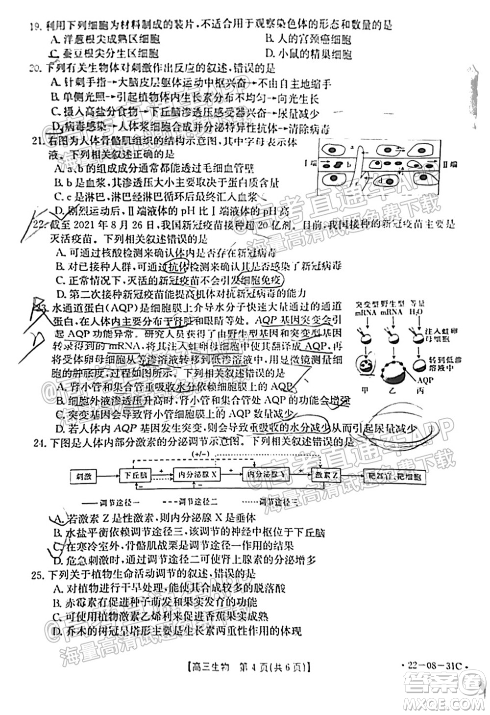 2022屆貴州金太陽高三9月聯(lián)考生物試題及答案