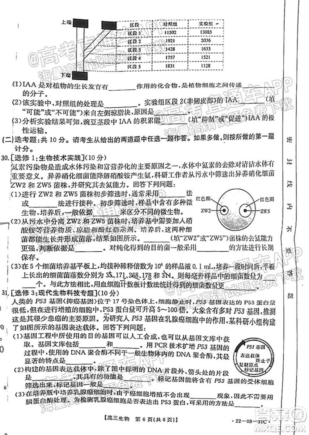 2022屆貴州金太陽高三9月聯(lián)考生物試題及答案