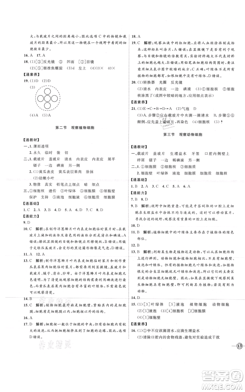 吉林教育出版社2021優(yōu)+學(xué)案課時(shí)通六年級上冊生物魯科版參考答案